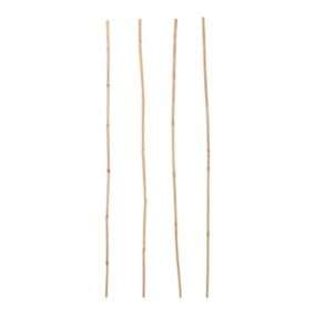 Tyczka bambusowa Verve 90 cm