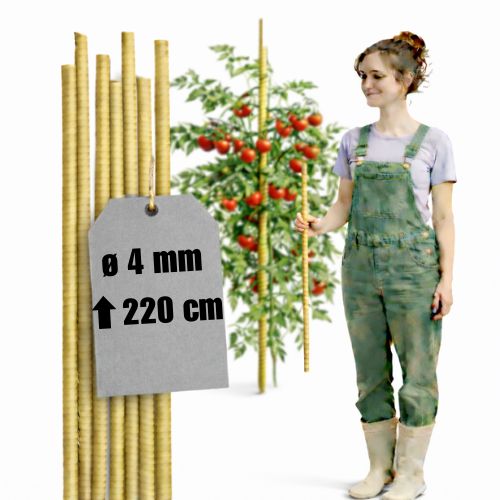 Tyczki kompozytowe do roślin fi 4 mm dł. 220 cm