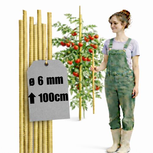 Tyczki kompozytowe do roślin fi 6 mm dł. 100 cm