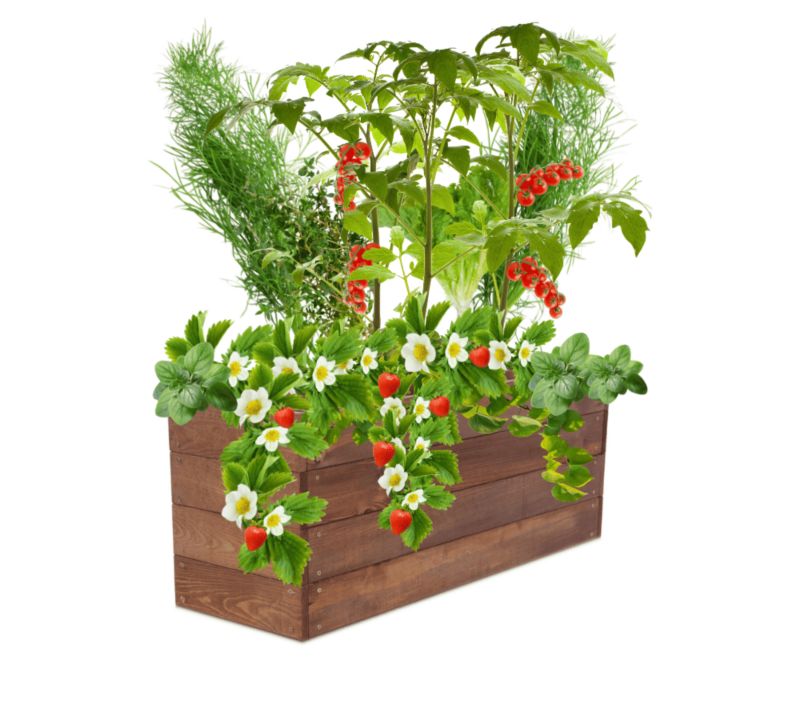 Warzywniak MODO24 grządka podwyższona brązowa impregnacja 36x93x30 cm 1 szt.