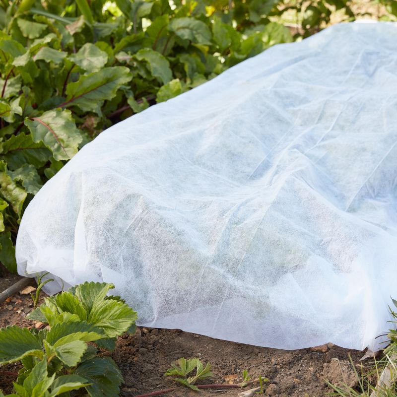 Włóknina ochronna Verve 1 x 2 m 100 g/m