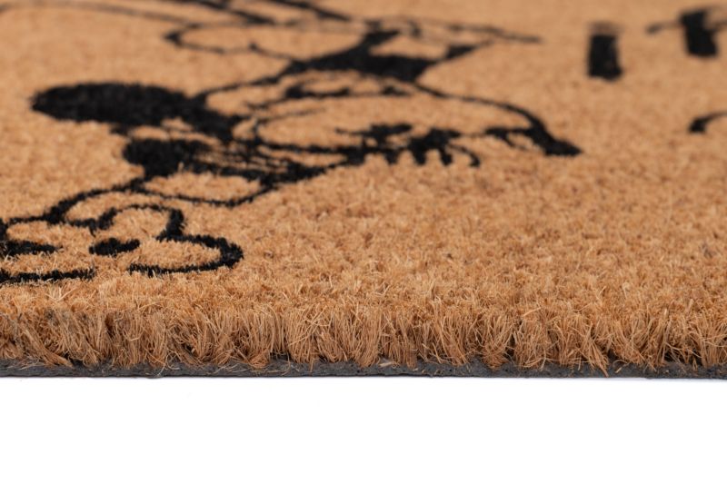 Wycieraczka Multidecor Kokos  40 x 60 cm Dzień dobry Minie 1 szt.