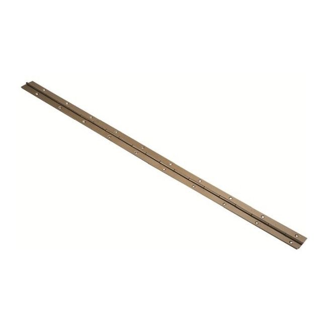 Zawias taśmowy 31 mm 0,6 m złoty