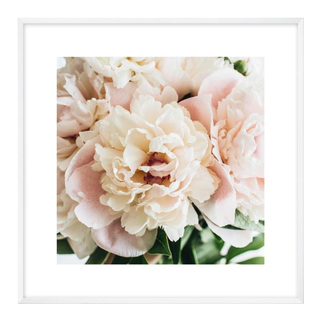Zestaw obrazów Kwiaty różowe 20 x 20 cm 3 szt.