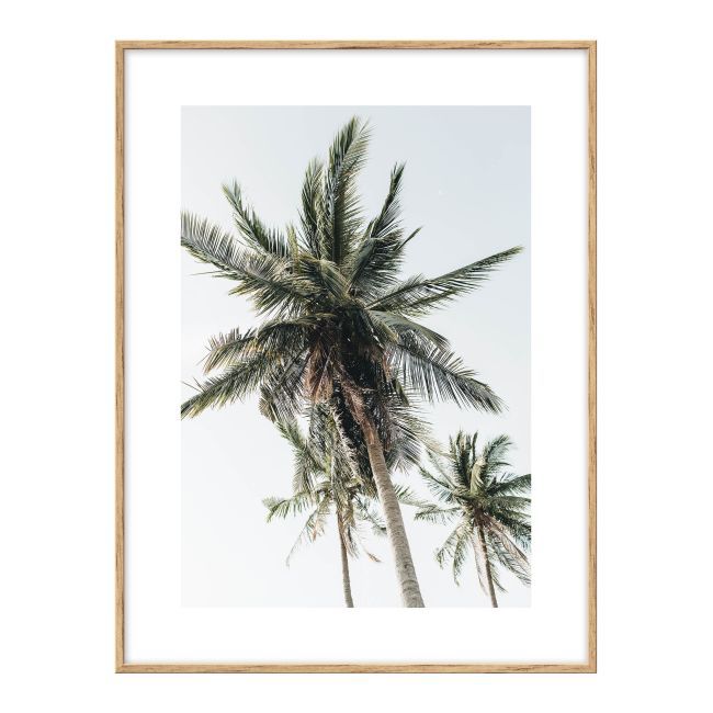 Zestaw obrazów Palmy i plaża 30 x 40 cm 3 szt.