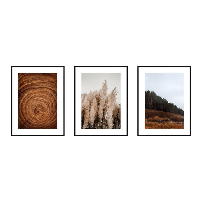 Zestaw obrazów Trawy i drewno 30 x 40 cm 3 szt.