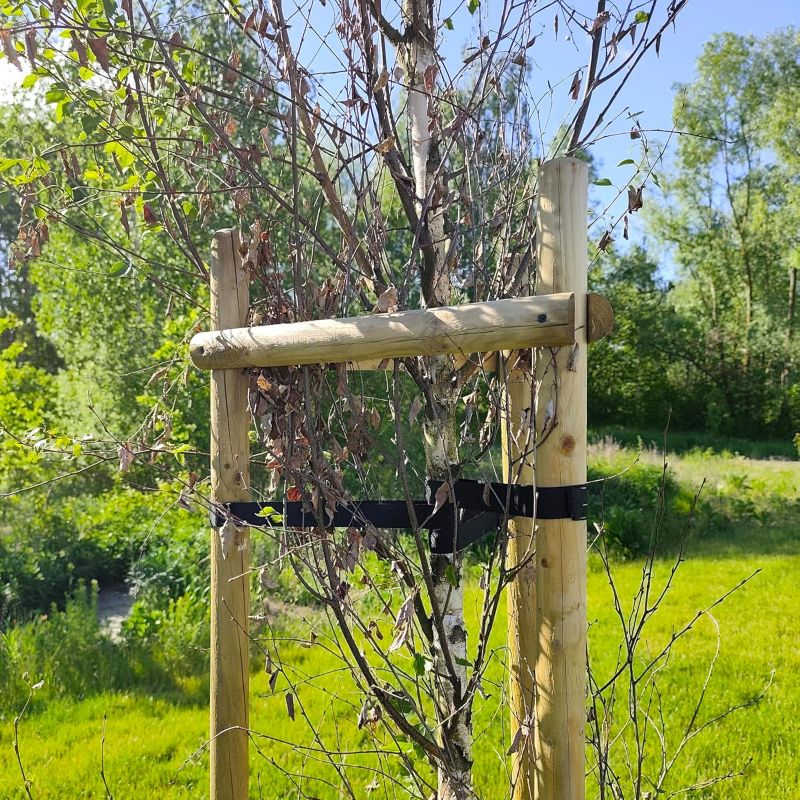 Zestaw podpór do drzew Timbermik 3 sztuk 7 cm Drewno Sosnowe 200 cm +  6 sztuk półpalisad + 3 paski (1 szt.-zestaw))