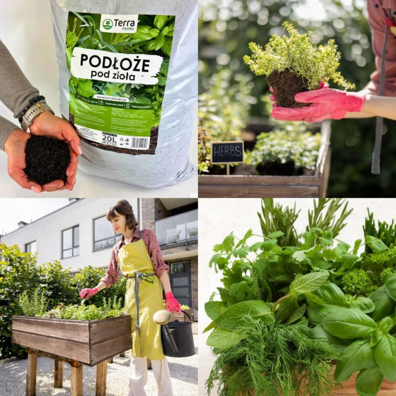 Ziemia uniwersalna do ziół Terra Feniks gotowe podłoże pod zioła 20 L 1 szt.