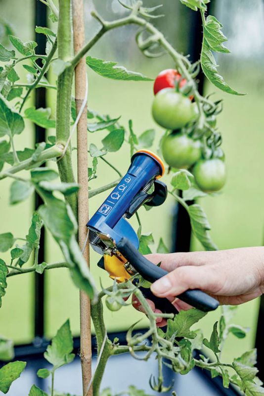 ShoutaZVW30  816781.jpg